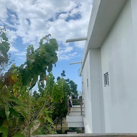 Zion House